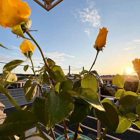 Corfu Airport Sweet Studio エクステリア 写真