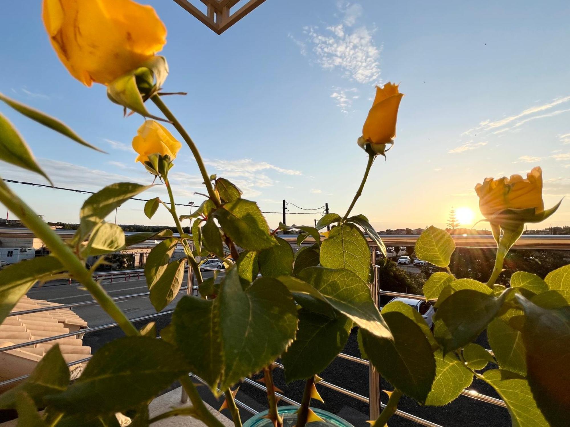 Corfu Airport Sweet Studio エクステリア 写真